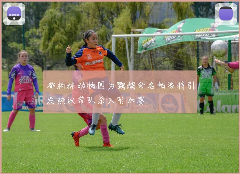 都柏林动物园为鹦鹉命名帕洛特引发热议带队杀入附加赛