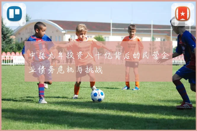 中赫九年投资八十亿背后的民营企业债务危机与挑战