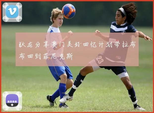 狄龙分享澳门美好回忆计划带拉布布回到菲尼克斯