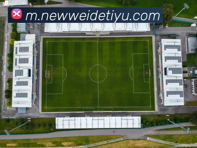 伟德体育服务体系